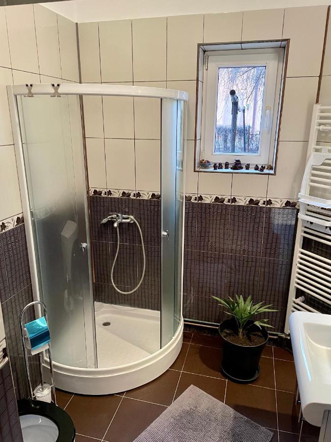 Mosaico Alfetta Hostel Timisoara
