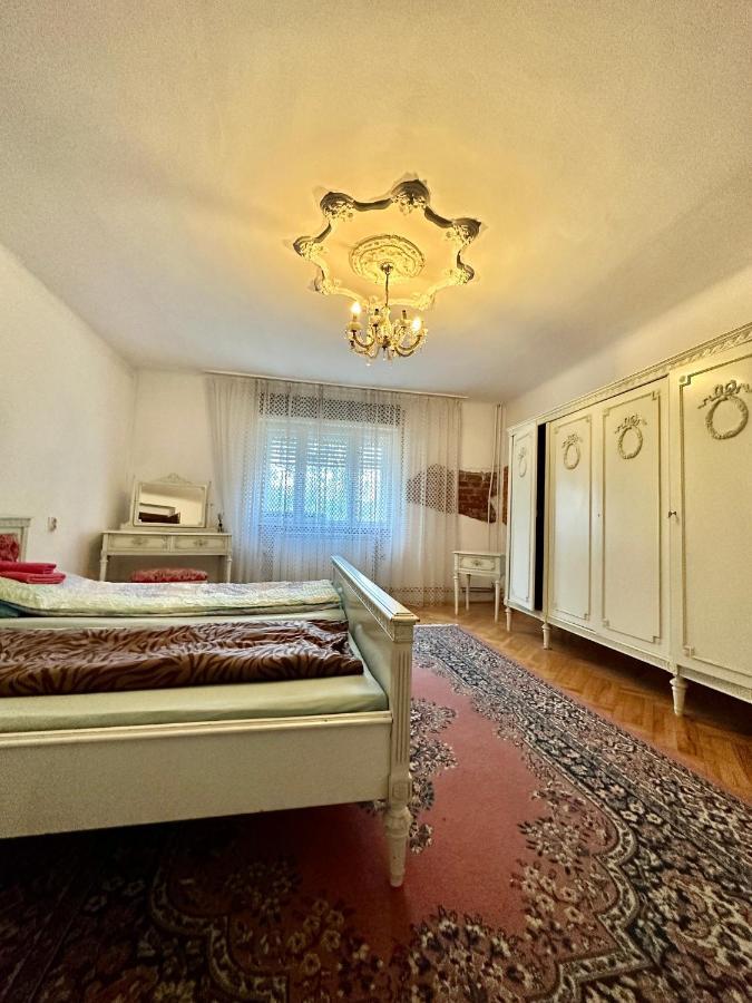 Hostel Mosaico Alfetta