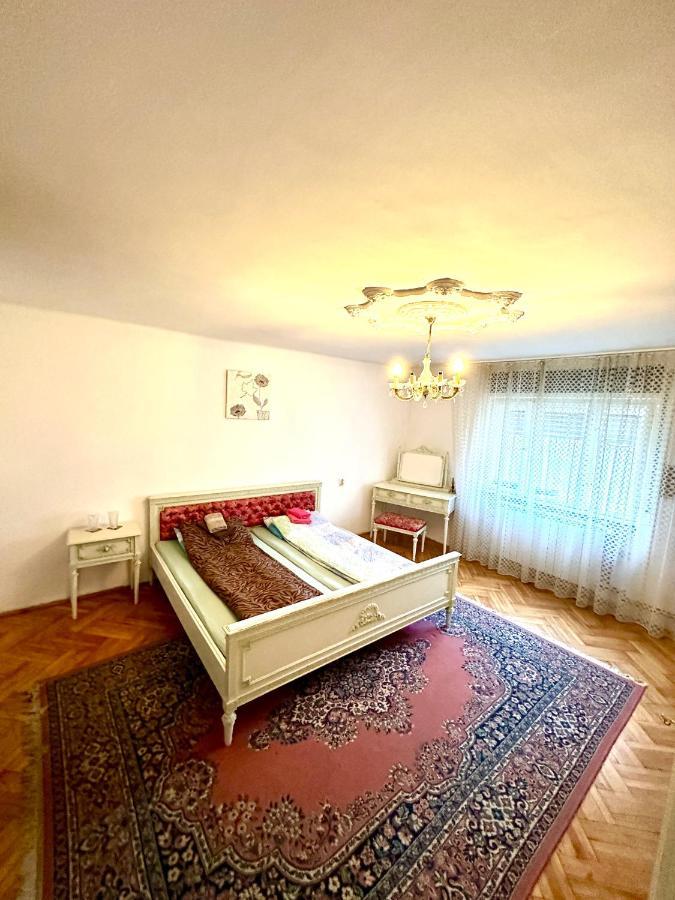 Mosaico Alfetta Hostel Timisoara