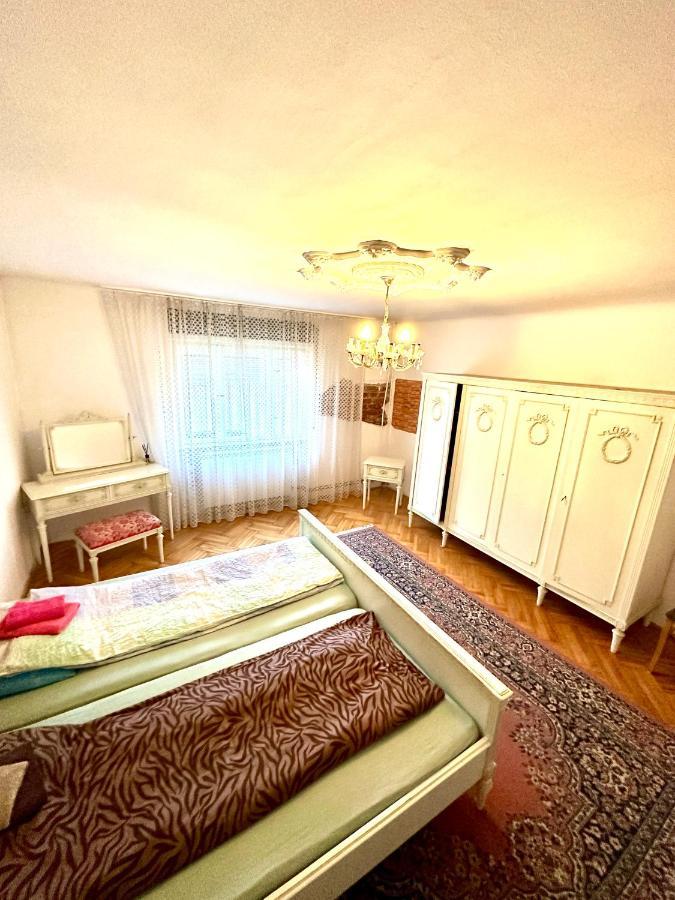 Hostel Mosaico Alfetta *