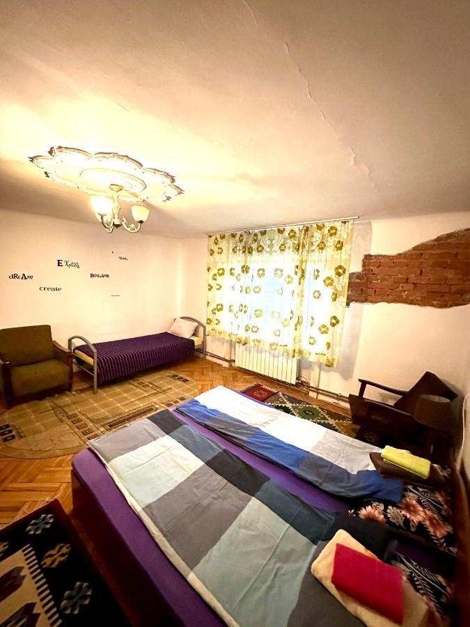 Mosaico Alfetta Hostel Timisoara