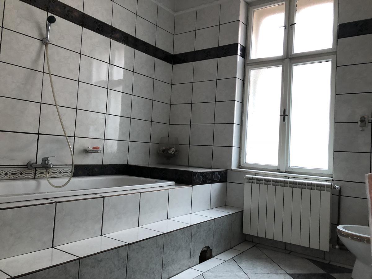 Mosaico Alfetta Hostel Timisoara