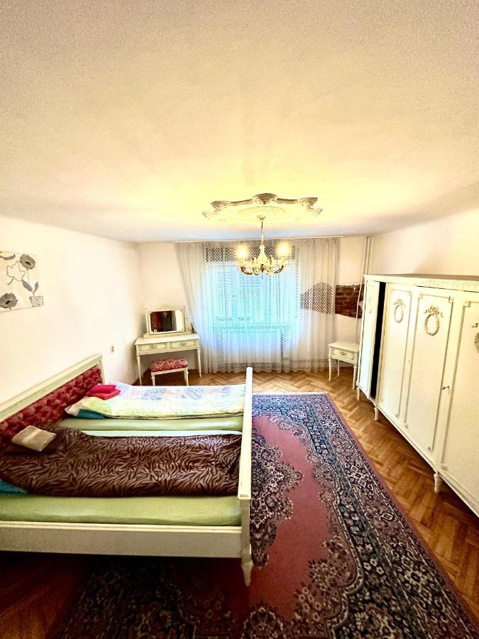 Ostello Mosaico Alfetta Timisoara